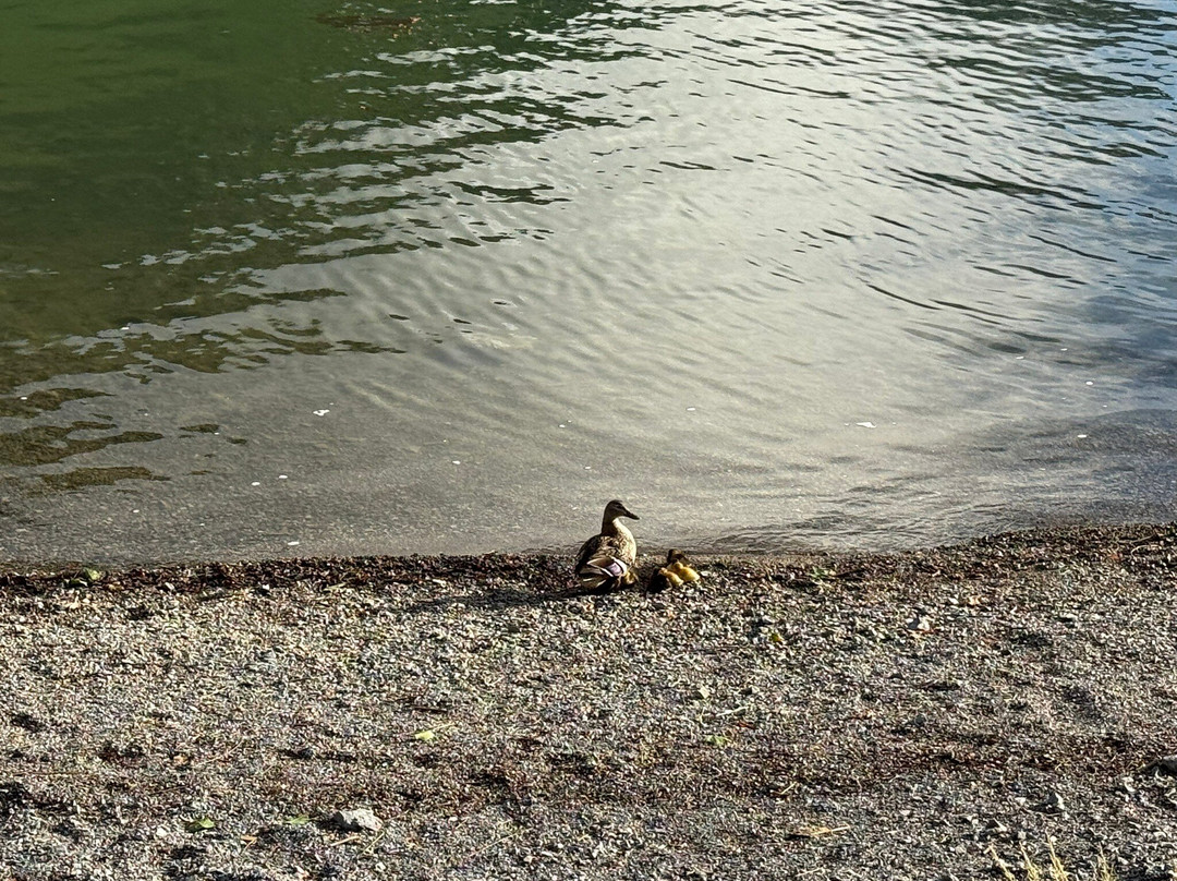 Lago D'Idro-Idro必去景点