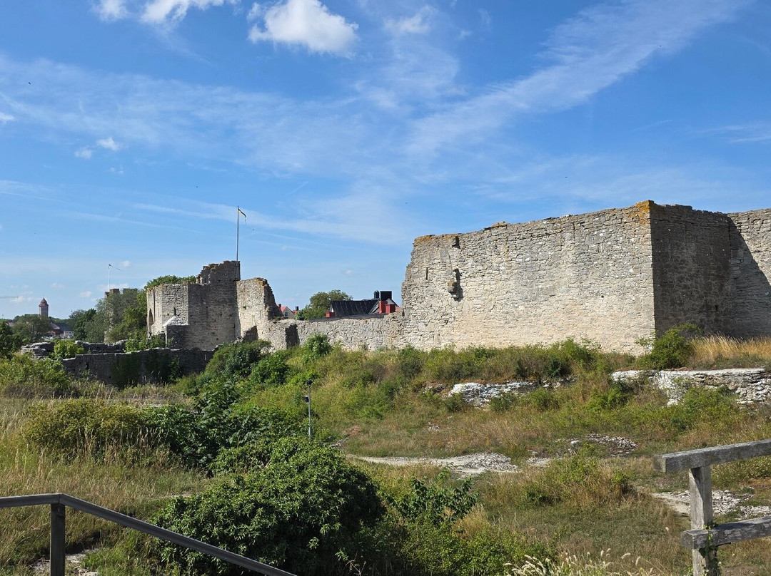Visby City Wall-维斯比必去景点