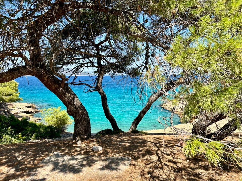 Moni Island Beach-埃伊纳岛必去景点