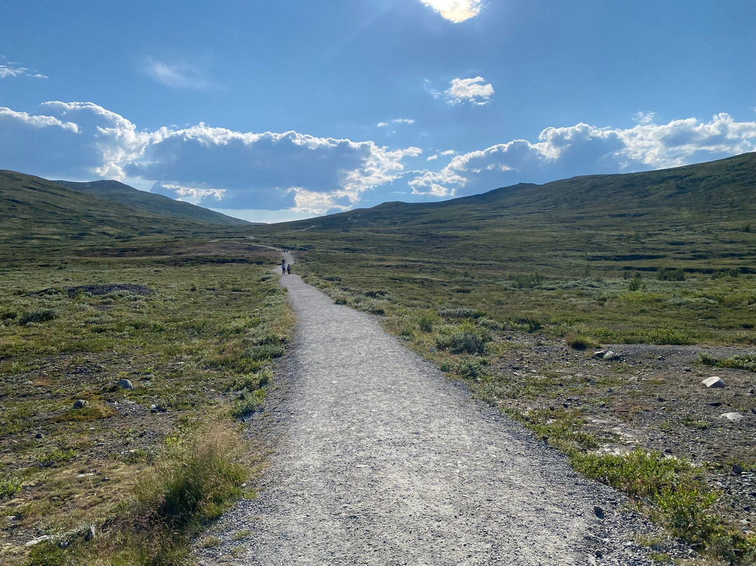 Viewpoint Snøhetta Visitor Centre Wild Reindeer-Hjerkinn必去景点