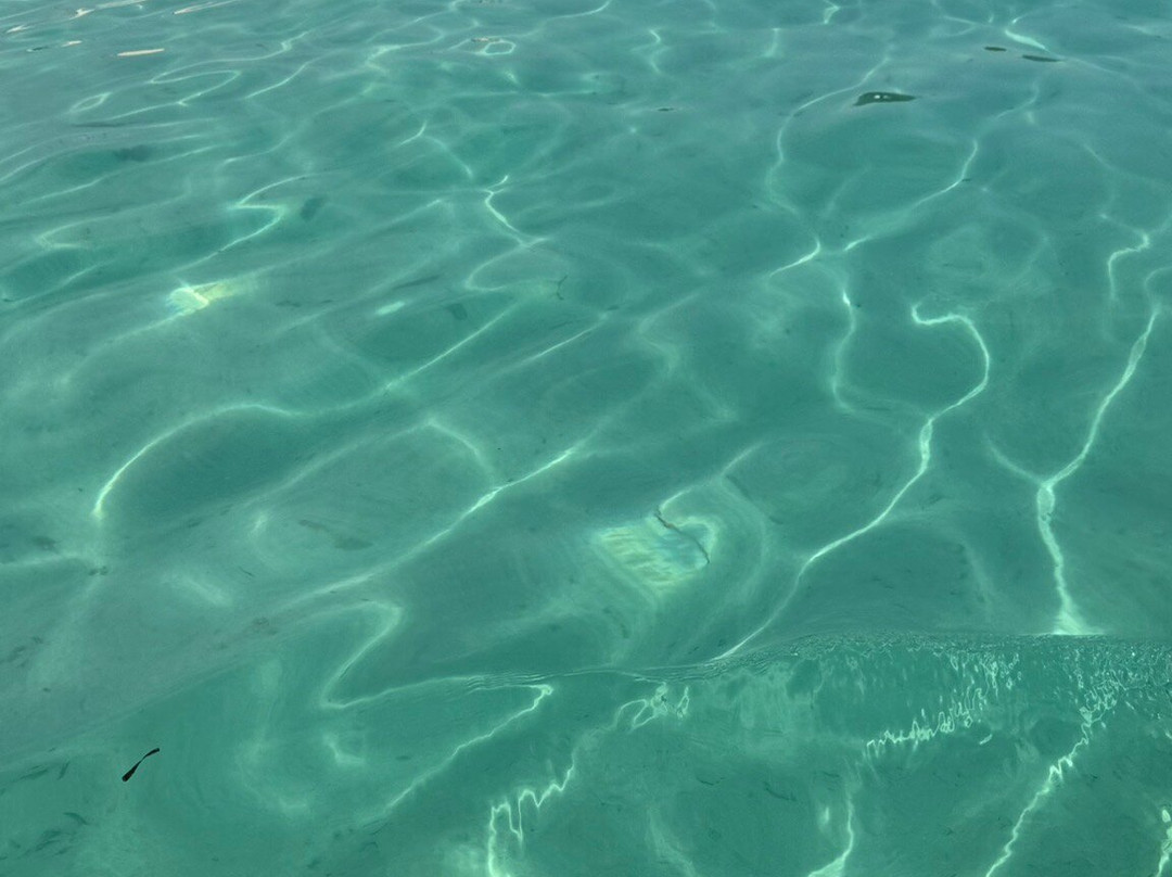 Meki Tourguide Matemwe-Matemwe必去景点