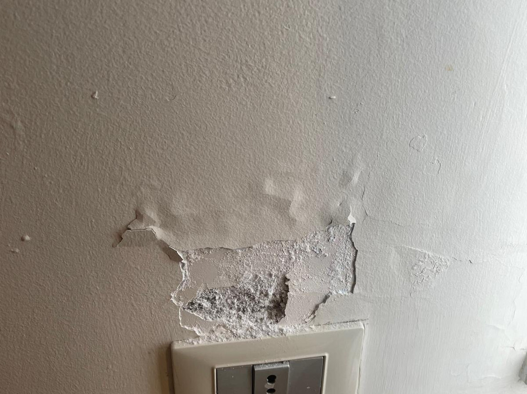 B&B Betulla dell'Etna主图