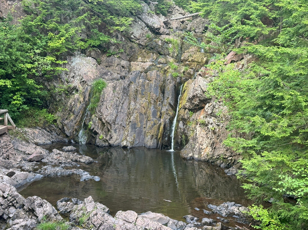 Victoria Park-Truro必去景点