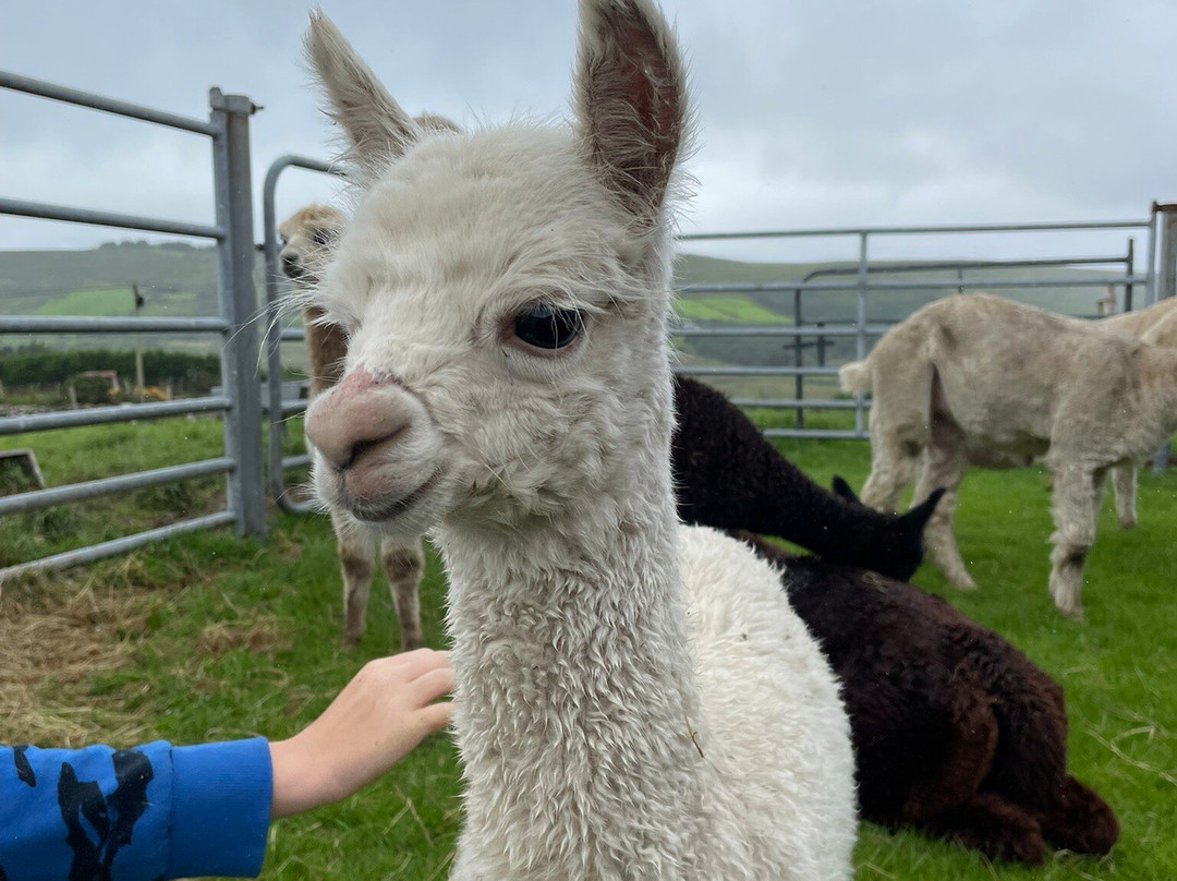 Hidden Hills Waterville-Waterville必去景点