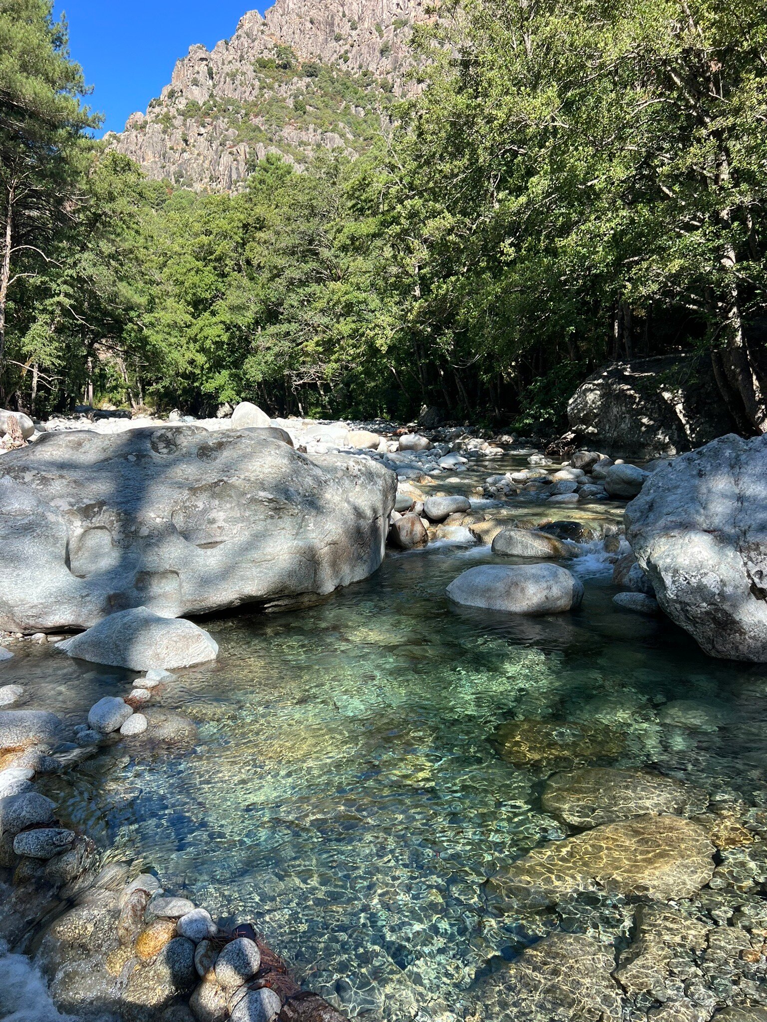 Dominique Colonna-官方