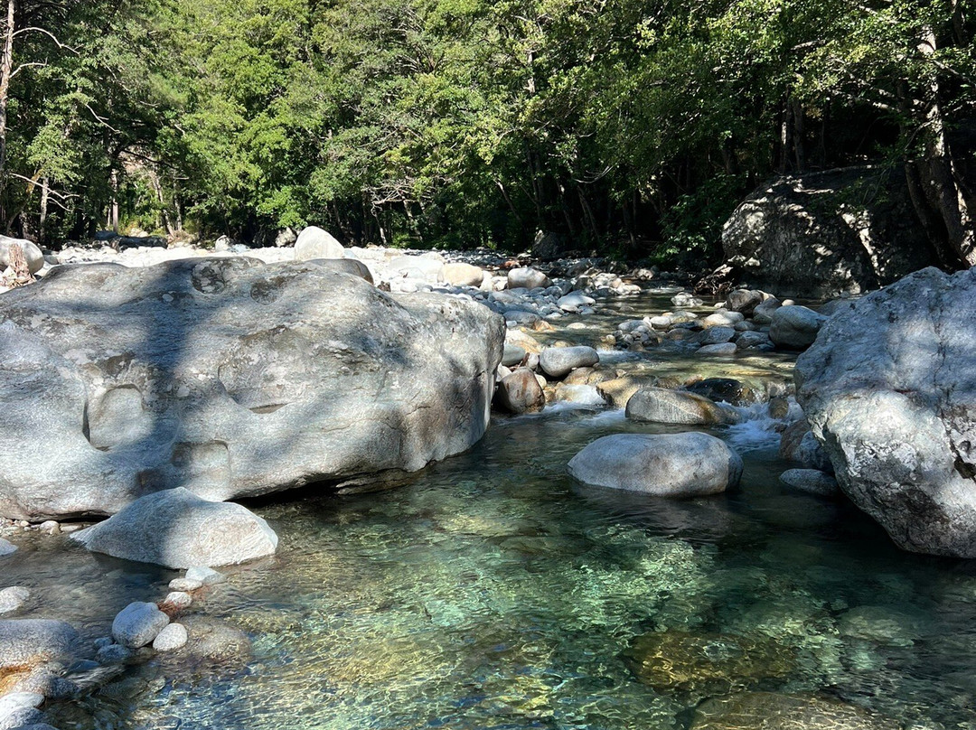 Dominique Colonna主图