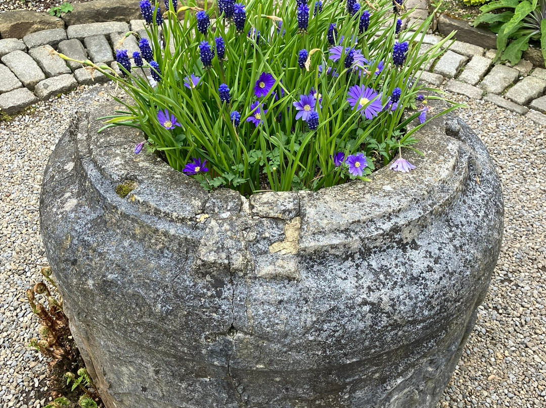 York Gate Garden-利兹必去景点