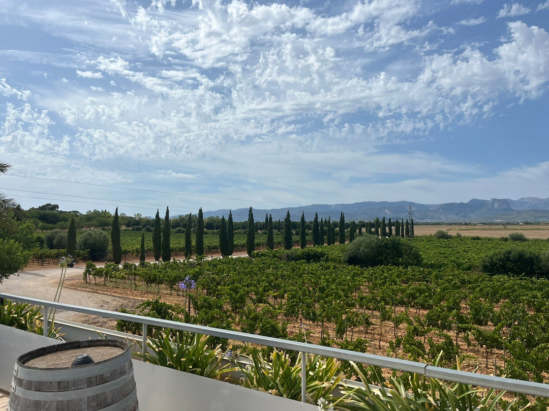 Son Juliana-Santa Eugenia必去景点