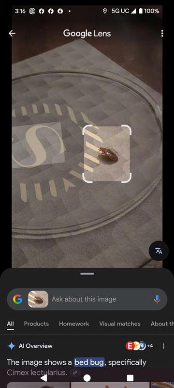 罗克维尔喜来登酒店-客卧