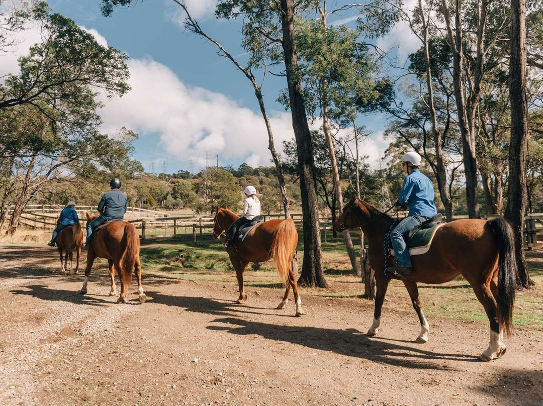 摩根湾度假村主图