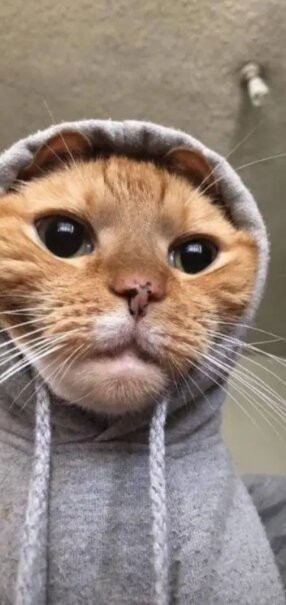 Parque de Atracciones de Zaragoza-萨拉戈萨省必去景点