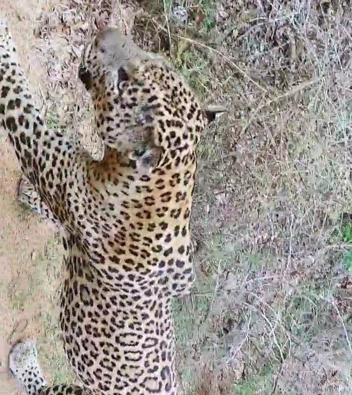 Journey To Lankatours-科伦坡必去景点