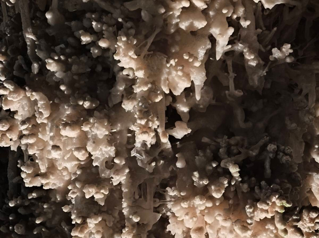 Cave of Alistrati-Alistrati必去景点