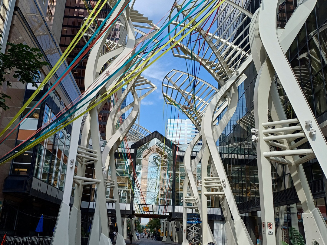 Toonie Tours Calgary-卡尔加里必去景点