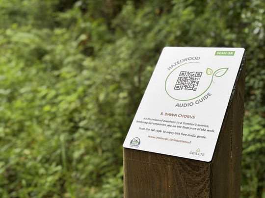 Hazelwood-斯莱戈必去景点