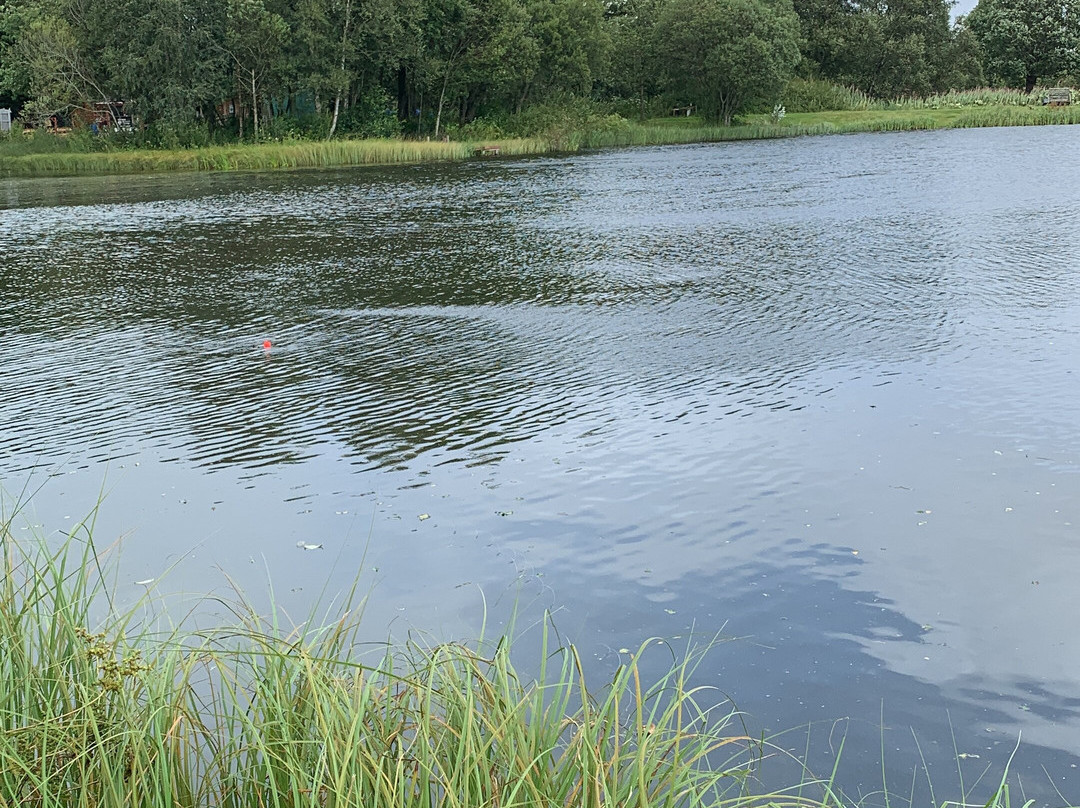 Kinross Trout Fishery & Activity Centre-Kinross必去景点