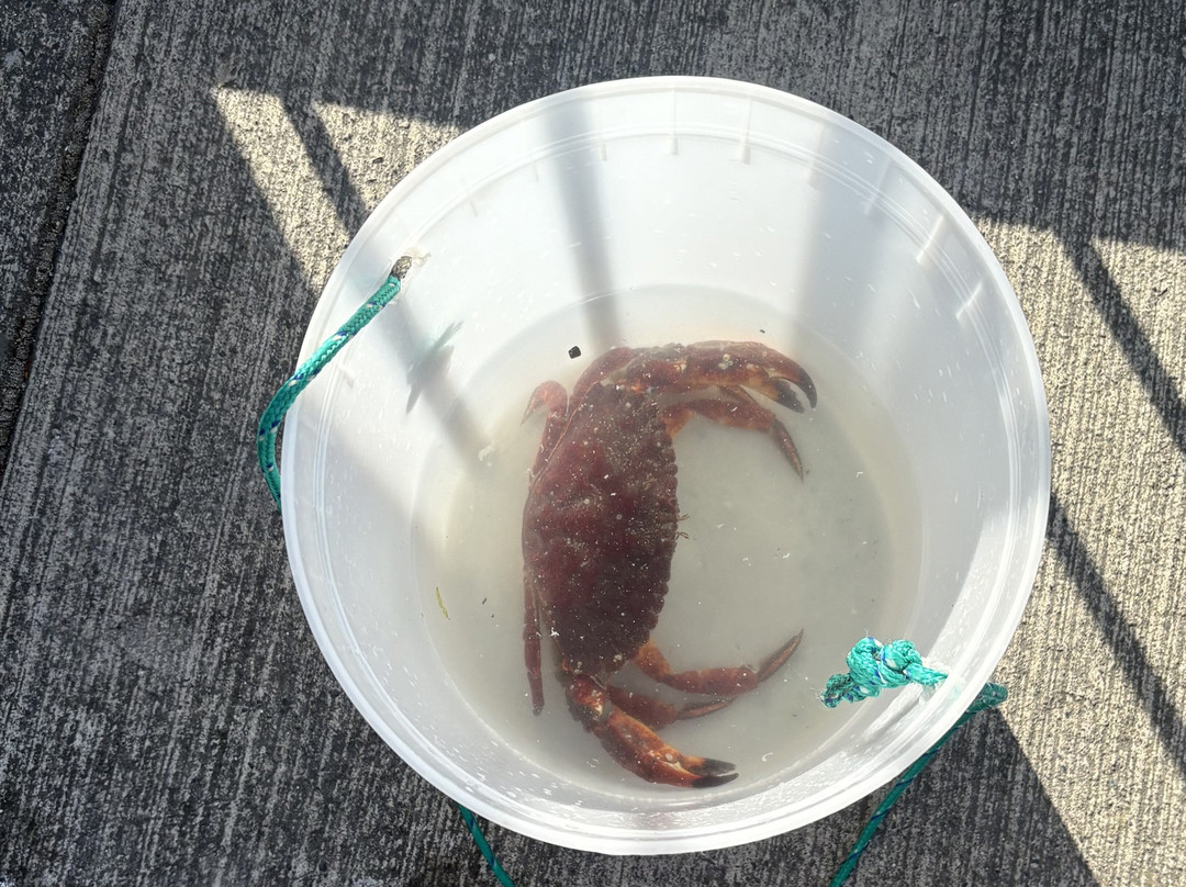 Boulevard Park-贝灵厄姆必去景点