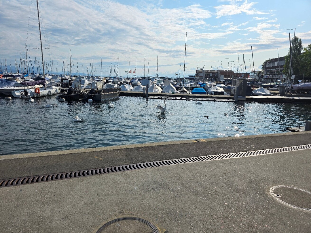 Cité Médiévale d'Yvoire