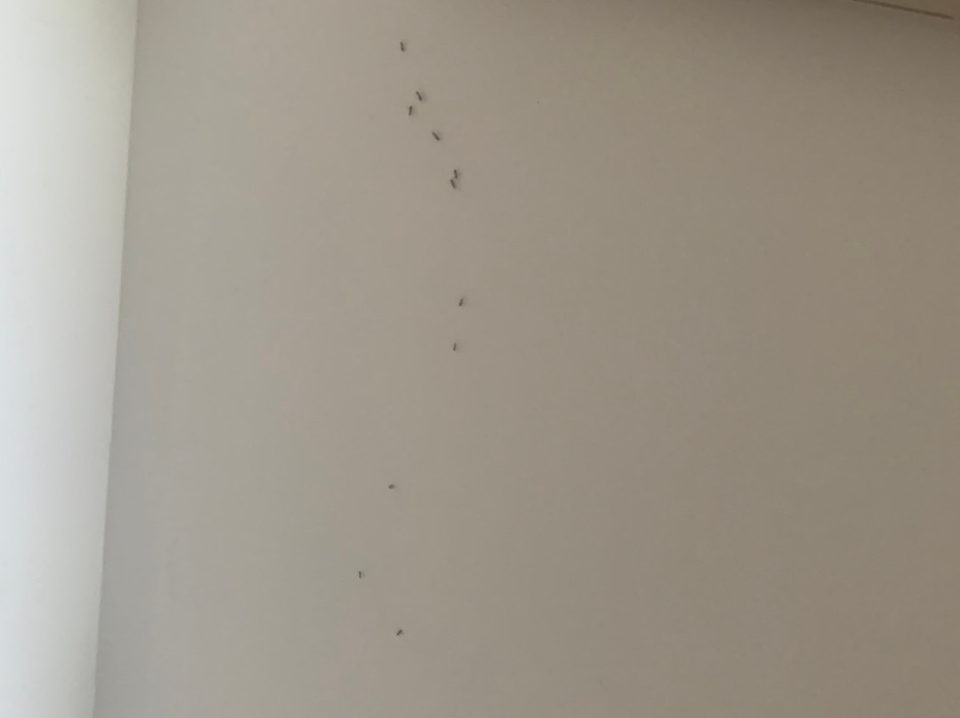 Vila Baleira Suites主图