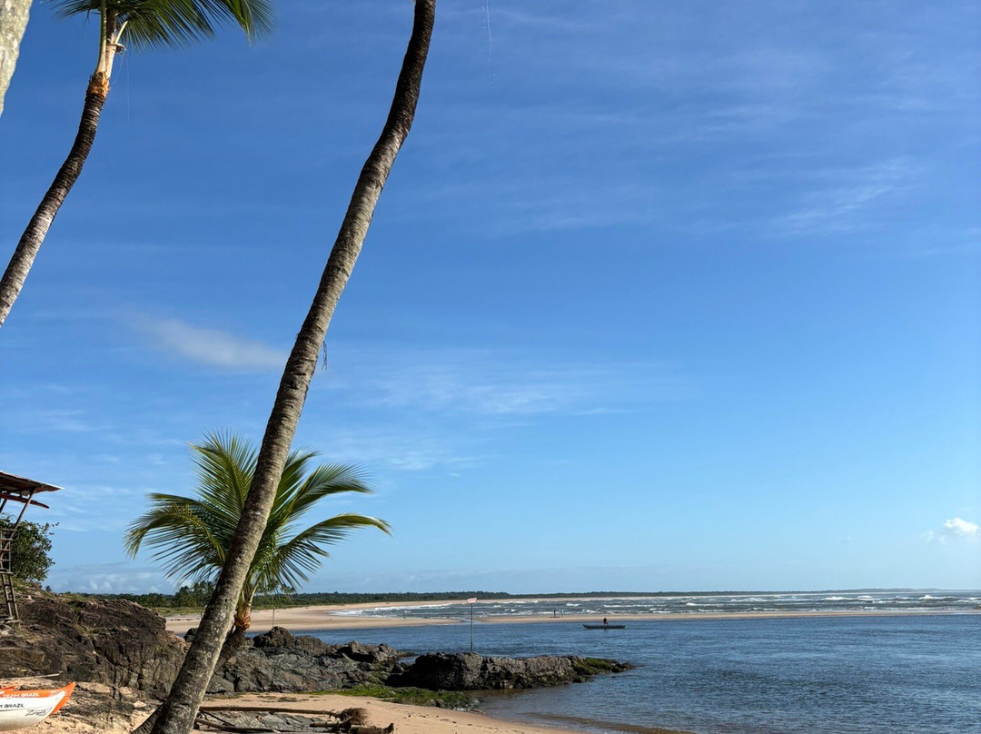 Praia da Concha-Itacare必去景点