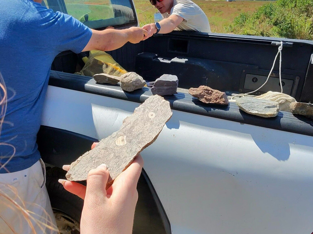 Maria Mitchell Association-楠塔基特必去景点