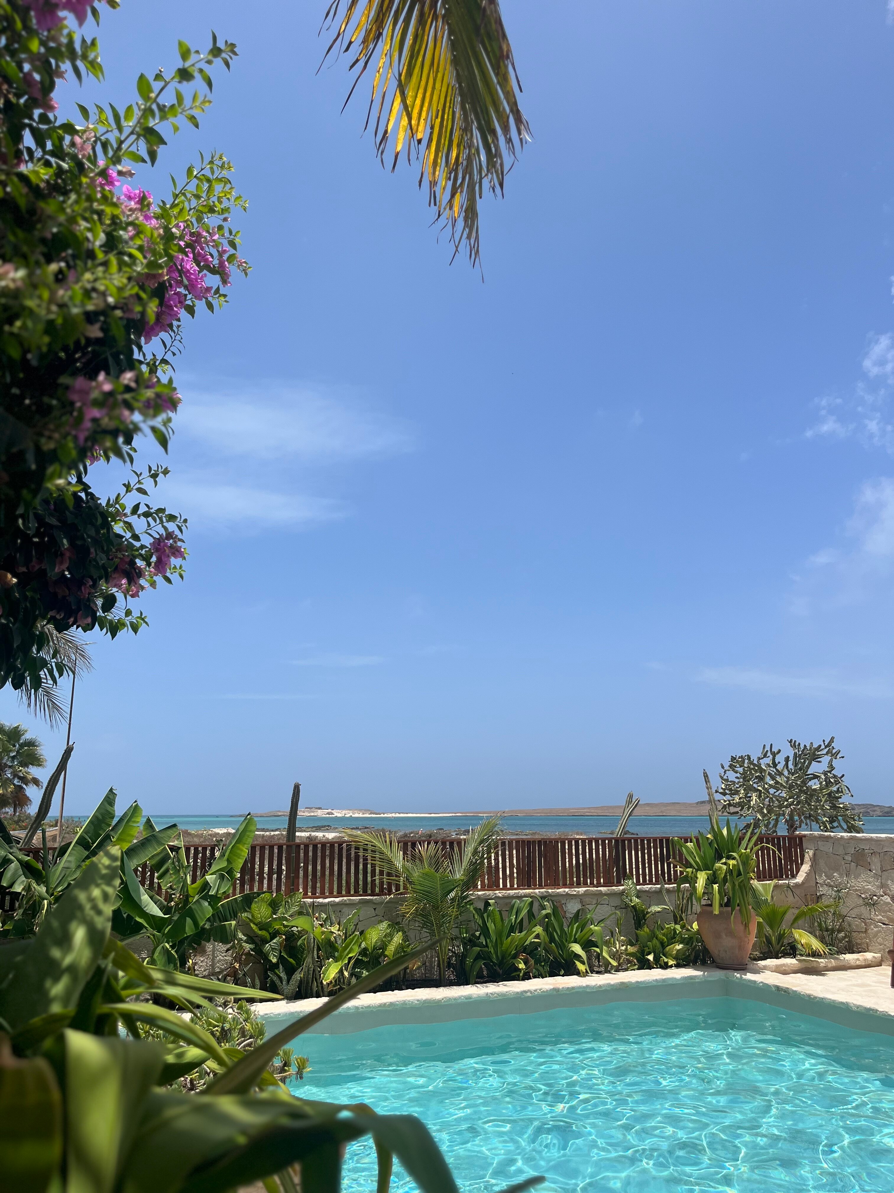 Orquidea Guest House-官方