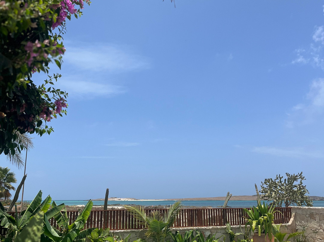 Orquidea Guest House主图