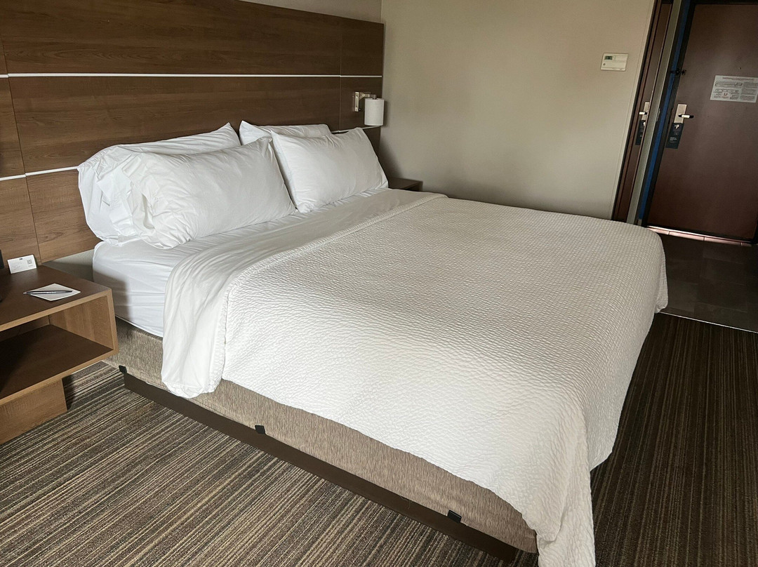 圣克莱门特北智选假日酒店主图