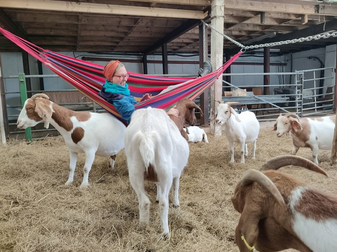 Cronkshaw Fold Farm-Rossendale必去景点
