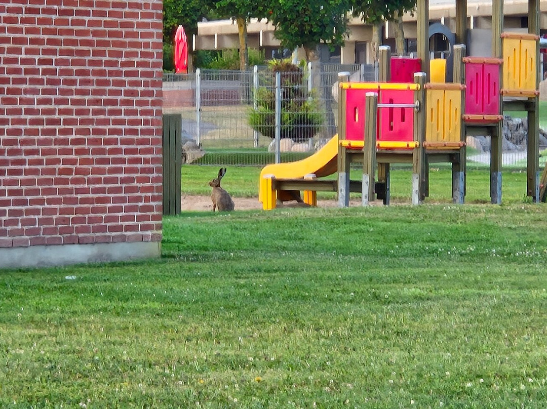 Nordstrand Camping Minigolf-腓特烈港必去景点