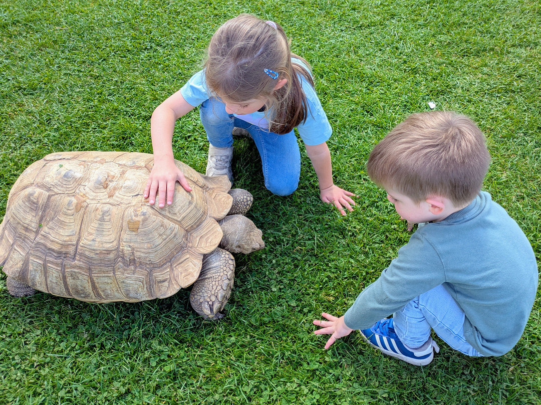 Hesketh Farm Park-斯基普顿必去景点