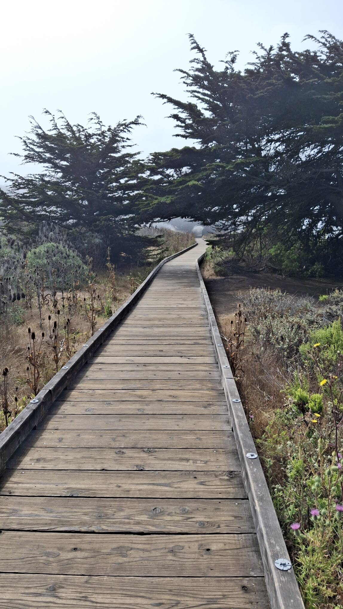 蓝海豚酒店-官方
