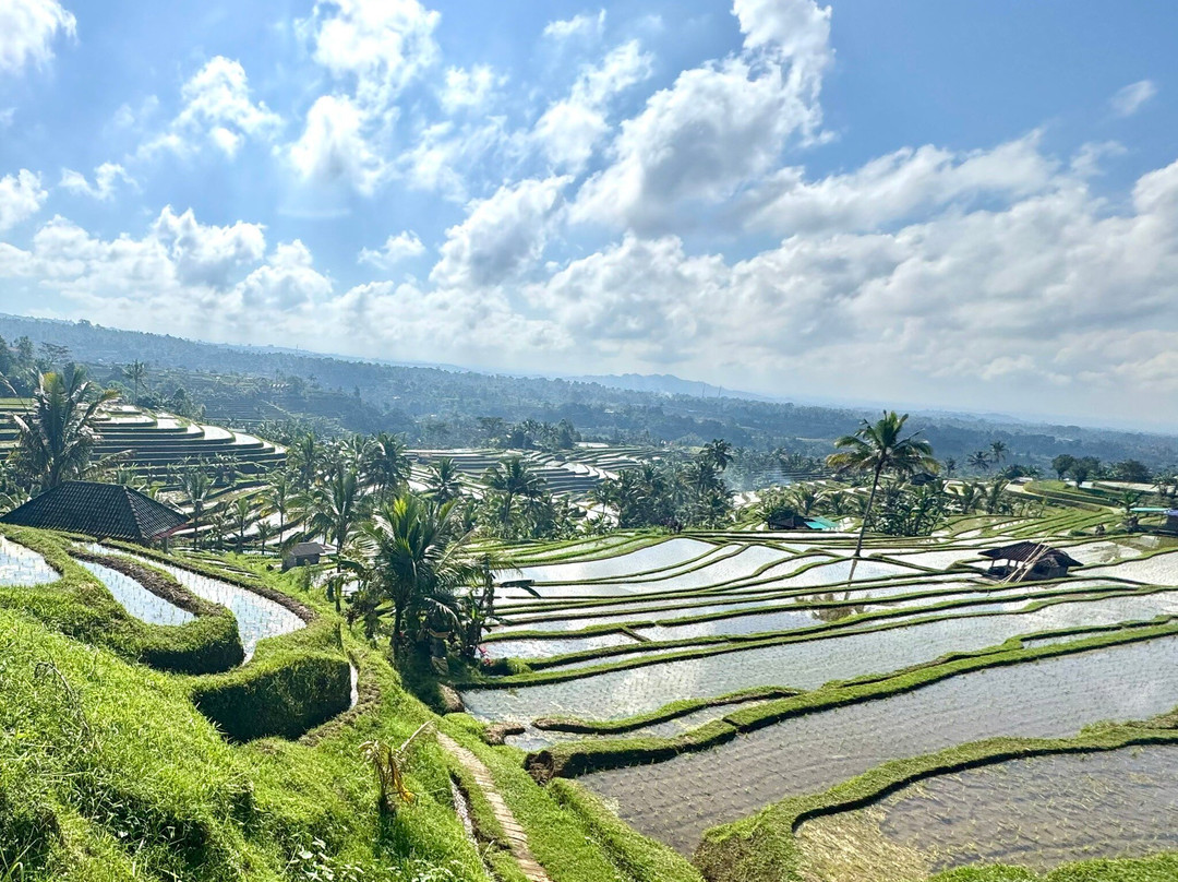 Jatiluwih Cycling & E-bike Tours With Bali By Pedals-达巴南必去景点