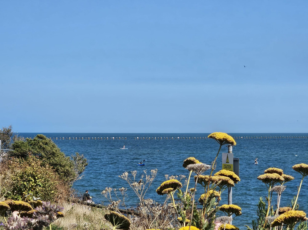 Shoebury East Beach-Shoeburyness必去景点