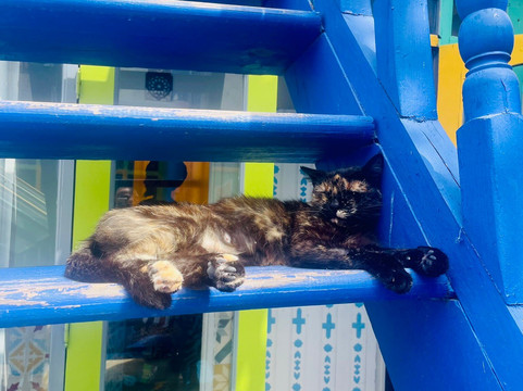 里亚德贝尔迪摩洛哥传统庭院住宅旅馆主图