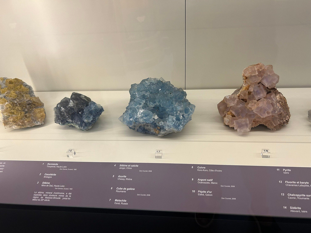 Musée Crozatier-勒皮必去景点