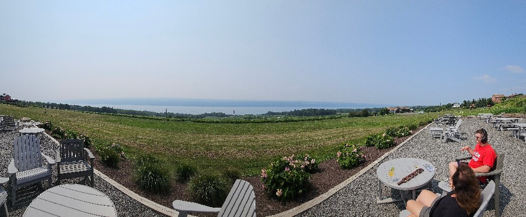 Silver Springs Winery L.L.C.-Burdett必去景点