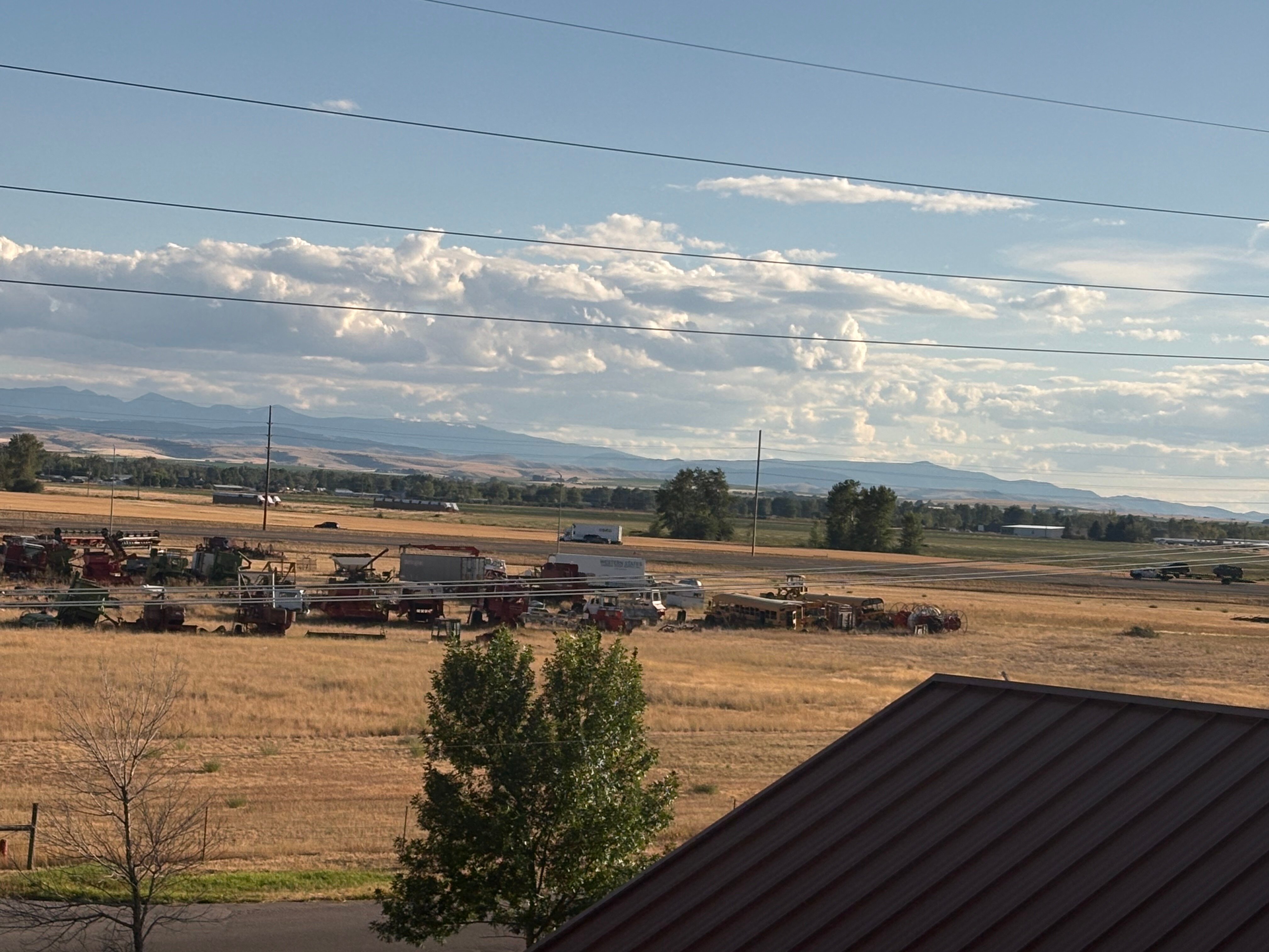 贝尔格莱德智选假日套房酒店-官方