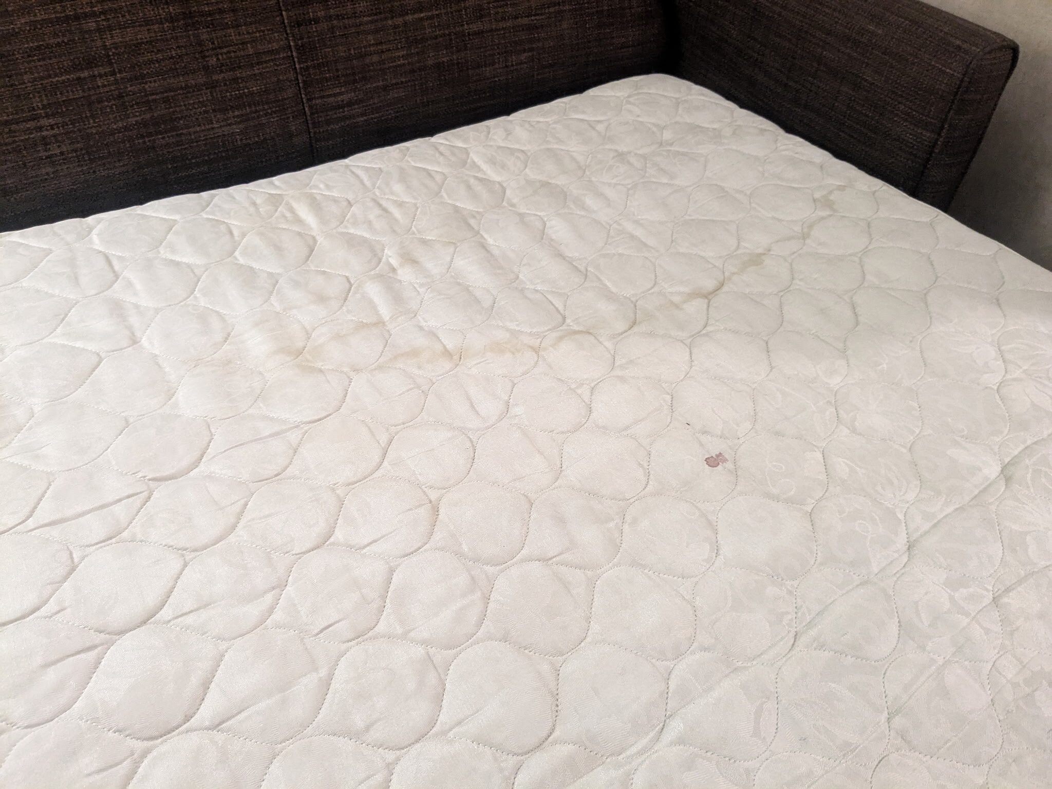 Holiday Inn Express & Suites Frankenmuth By IHG-客卧