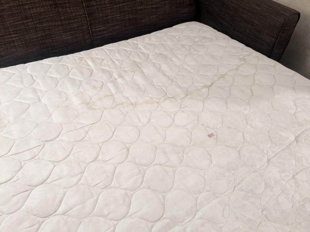 Holiday Inn Express & Suites Frankenmuth By IHG主图