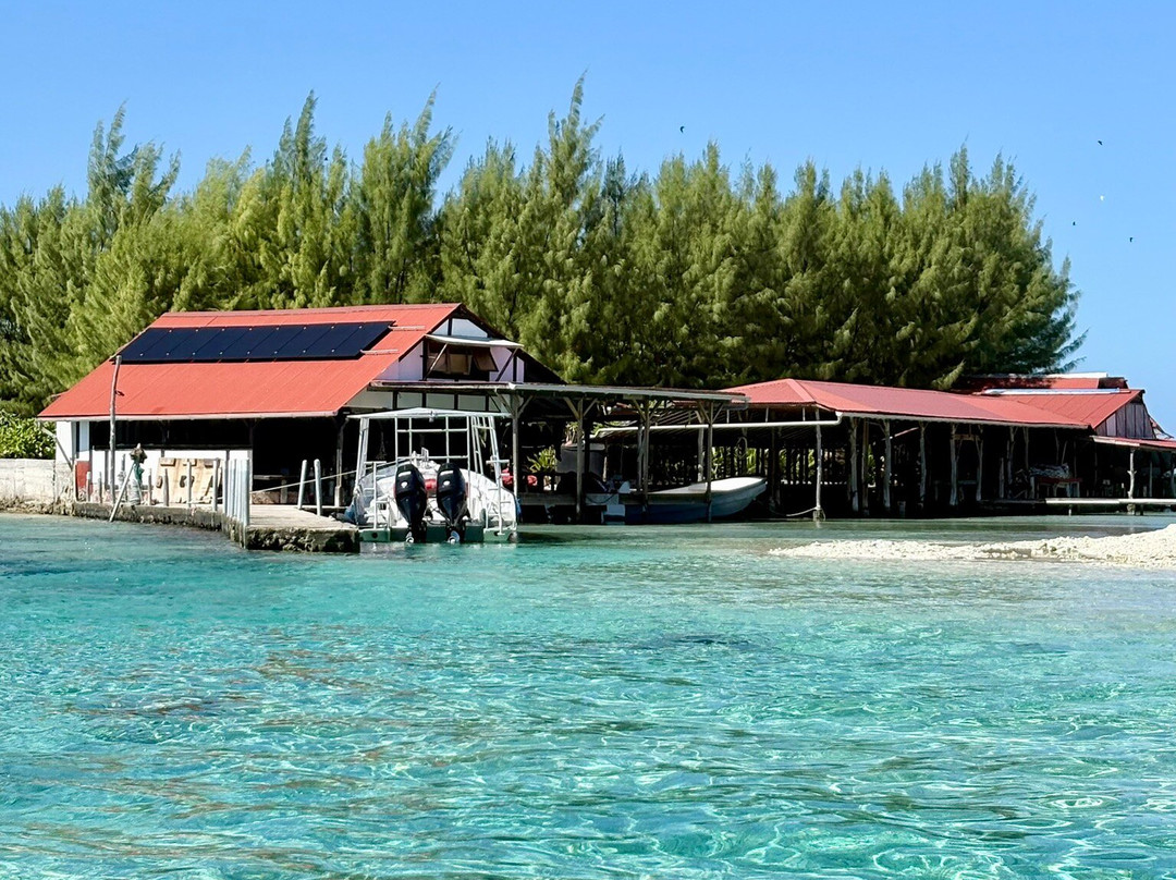 Motu Aito Paradise主图