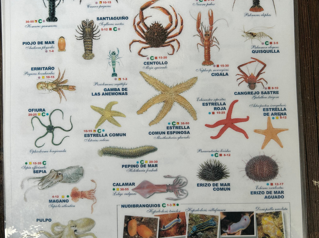 Buceo Pedreña-Pedrena必去景点