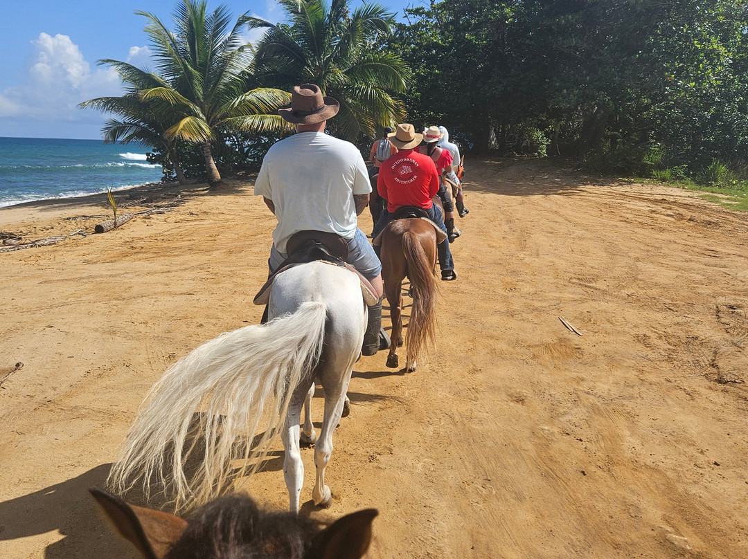 Playuelas Horse Rides-Aguadilla必去景点