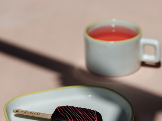 Veselovka Experience