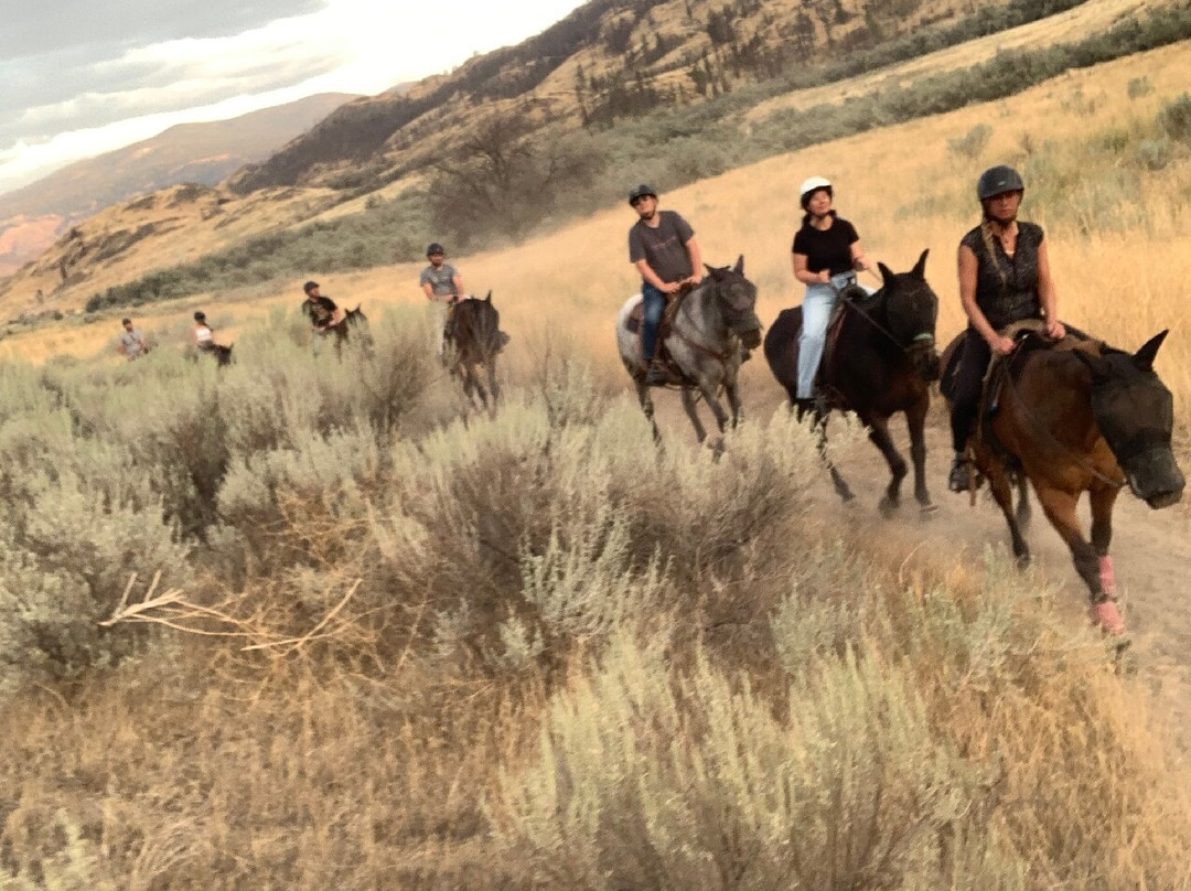 Sun Hills Riding Centre-奥索尤斯必去景点