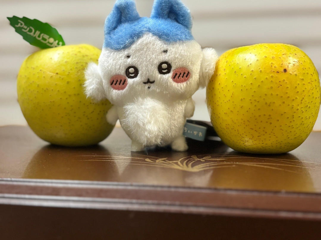 Hotel Apple Land主图