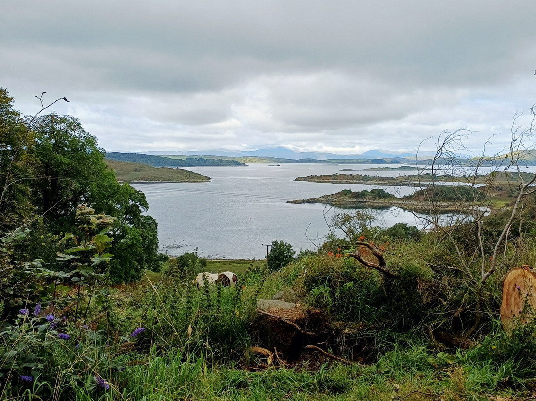 Lunga Riding Stables-Lochgilphead必去景点