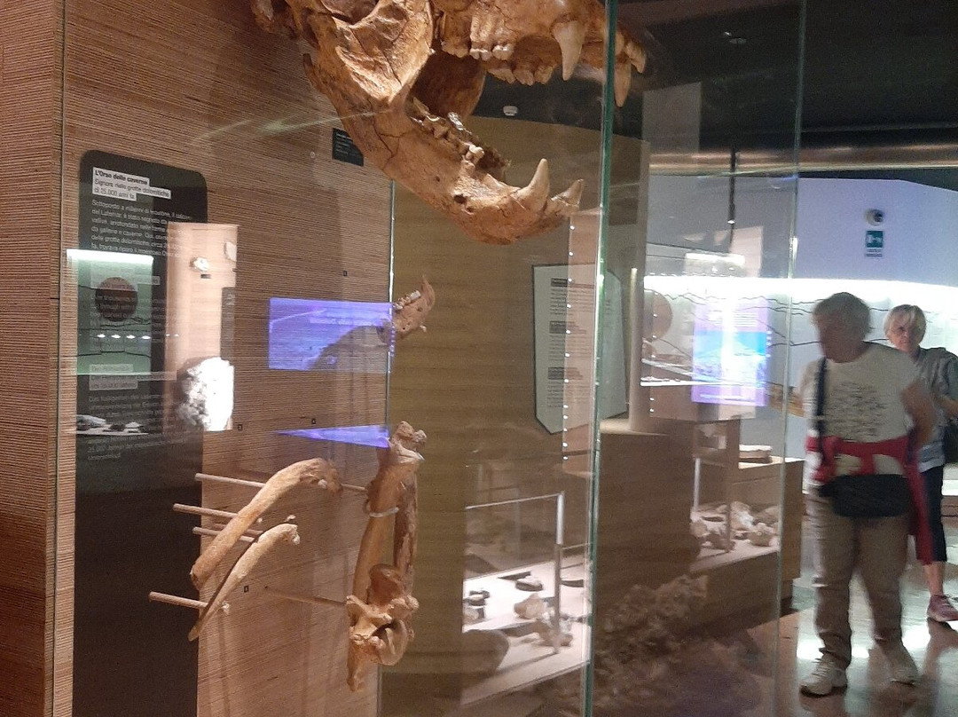 Geological Museum of the Dolomites-普雷达佐必去景点