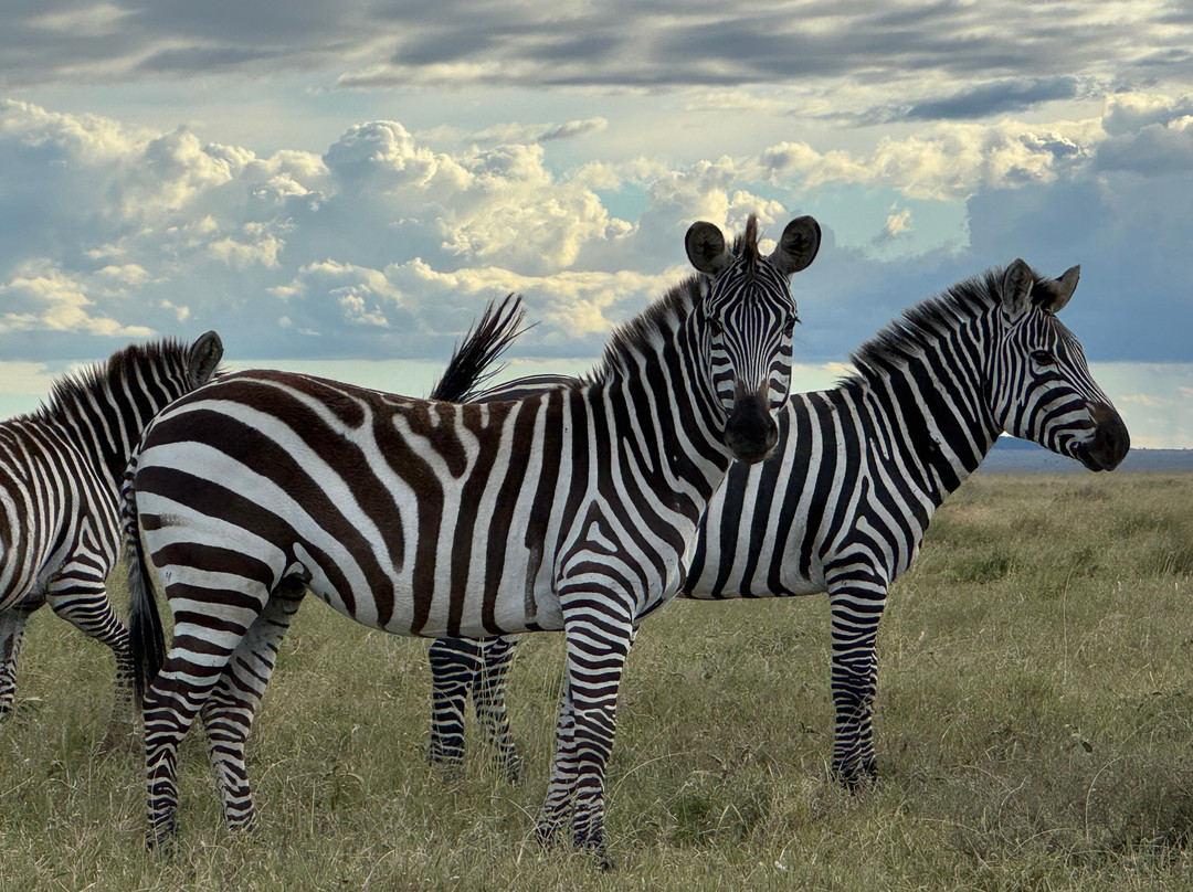 Warrior Trails-阿鲁沙必去景点