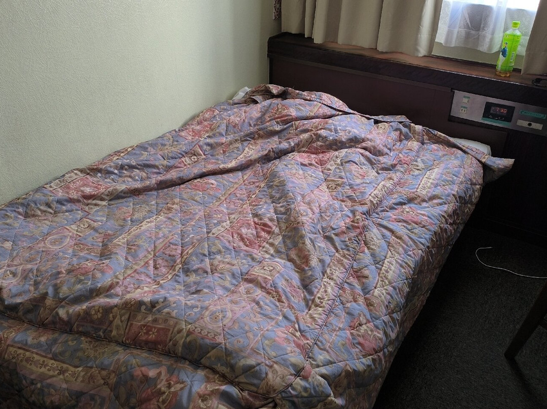 Isahaya Green Hotel主图